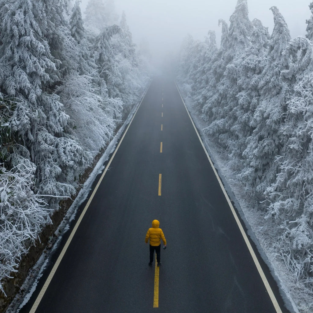 Flix and Ponyo Men's/Women's Waterproof Hooded Duck Down Puffer Jacket for Winter Outdoor Sports Unisex