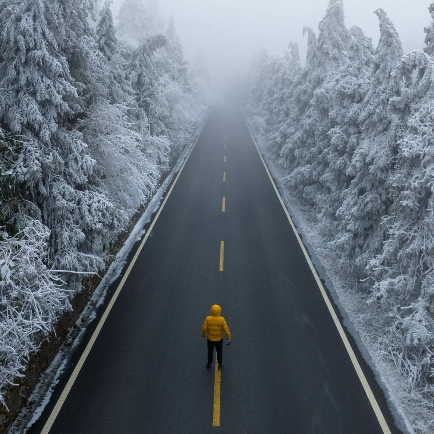 Flix and Ponyo Men's/Women's Waterproof Hooded Duck Down Puffer Jacket for Winter Outdoor Sports Unisex