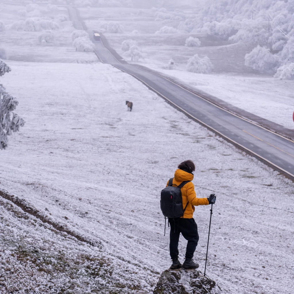 Flix and Ponyo Men's/Women's Waterproof Hooded Duck Down Puffer Jacket for Winter Outdoor Sports Unisex