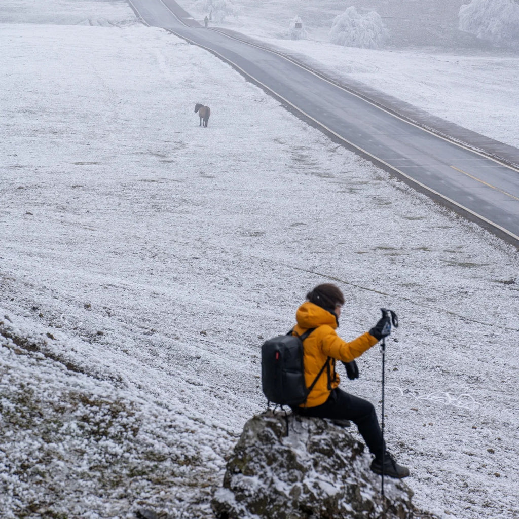 Flix and Ponyo Men's/Women's Waterproof Hooded Duck Down Puffer Jacket for Winter Outdoor Sports Unisex