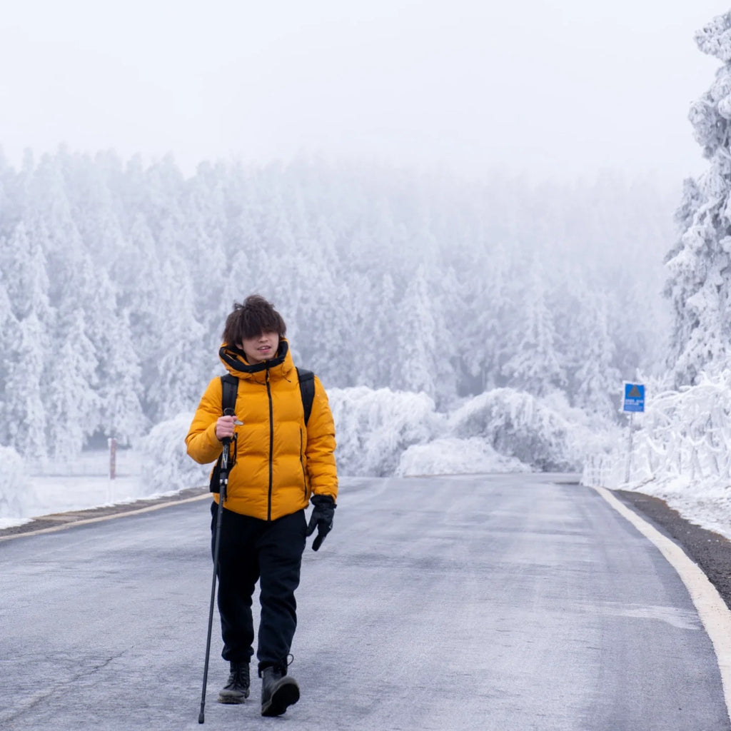 Flix and Ponyo Men's/Women's Waterproof Hooded Duck Down Puffer Jacket for Winter Outdoor Sports Unisex