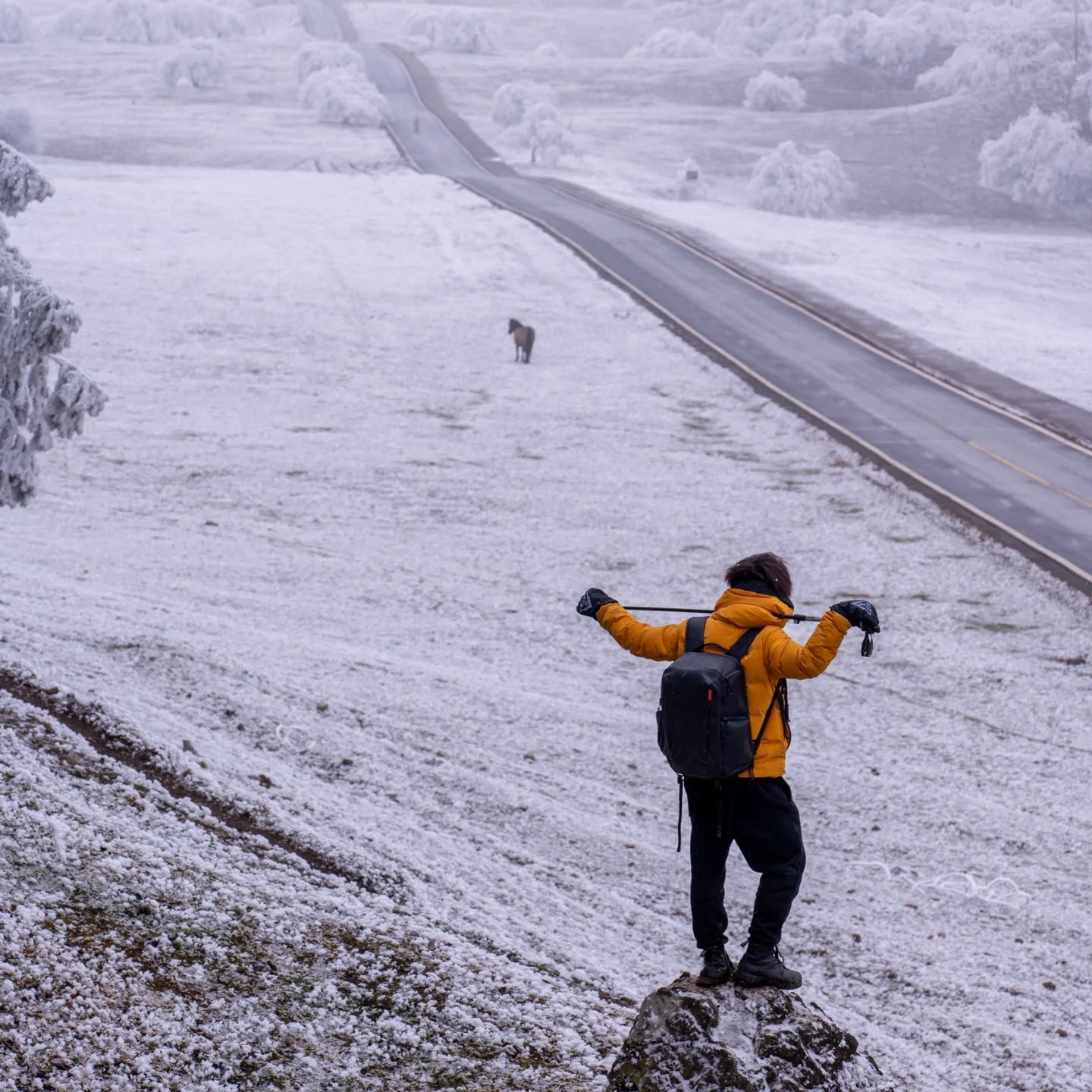 Flix and Ponyo Men's/Women's Waterproof Hooded Duck Down Puffer Jacket for Winter Outdoor Sports Unisex