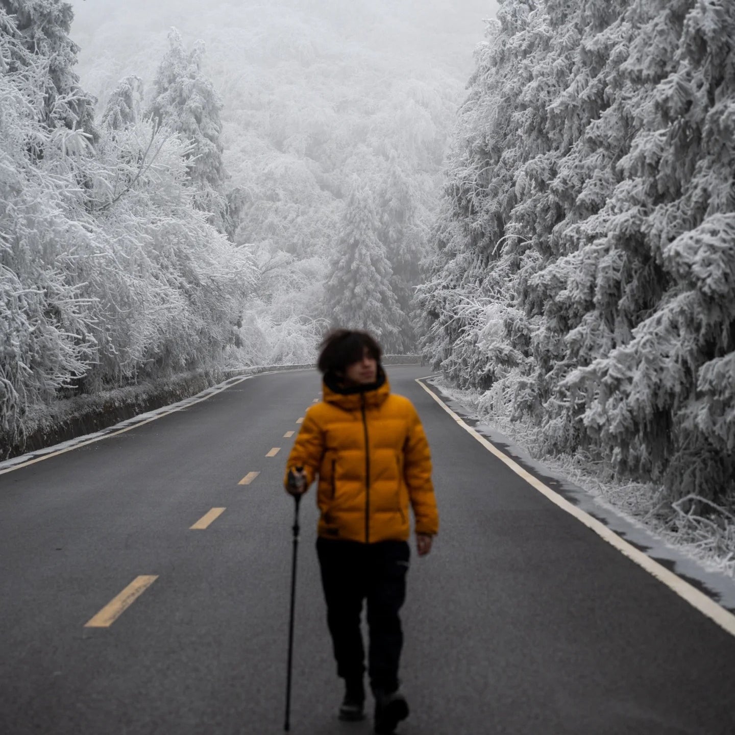 Flix and Ponyo Men's/Women's Waterproof Hooded Duck Down Puffer Jacket for Winter Outdoor Sports Unisex