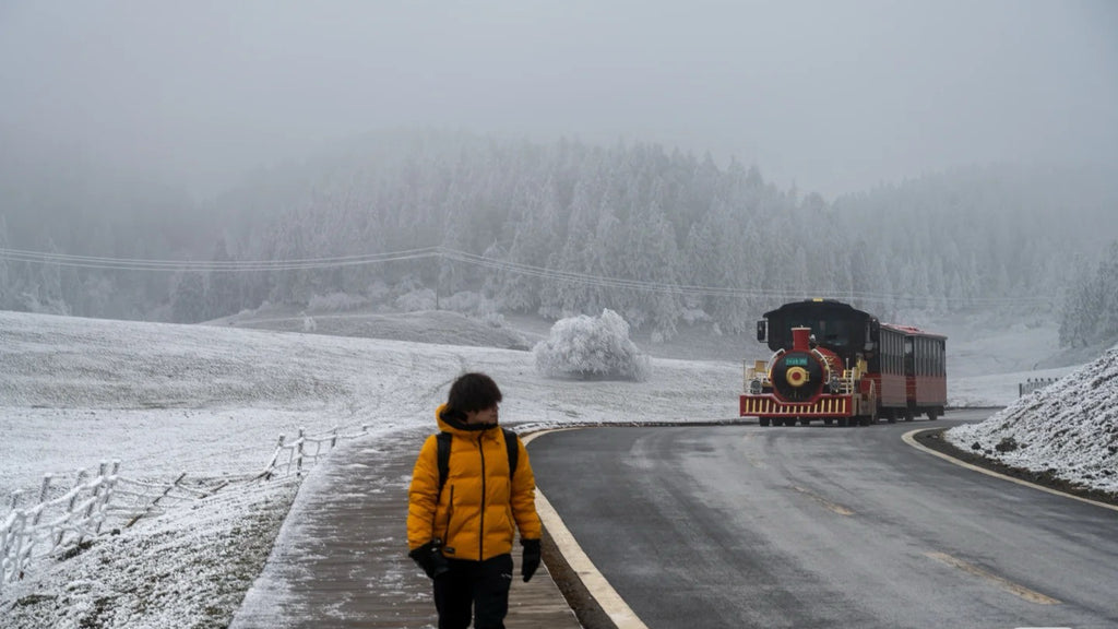 Flix and Ponyo Men's/Women's Waterproof Hooded Duck Down Puffer Jacket for Winter Outdoor Sports Unisex