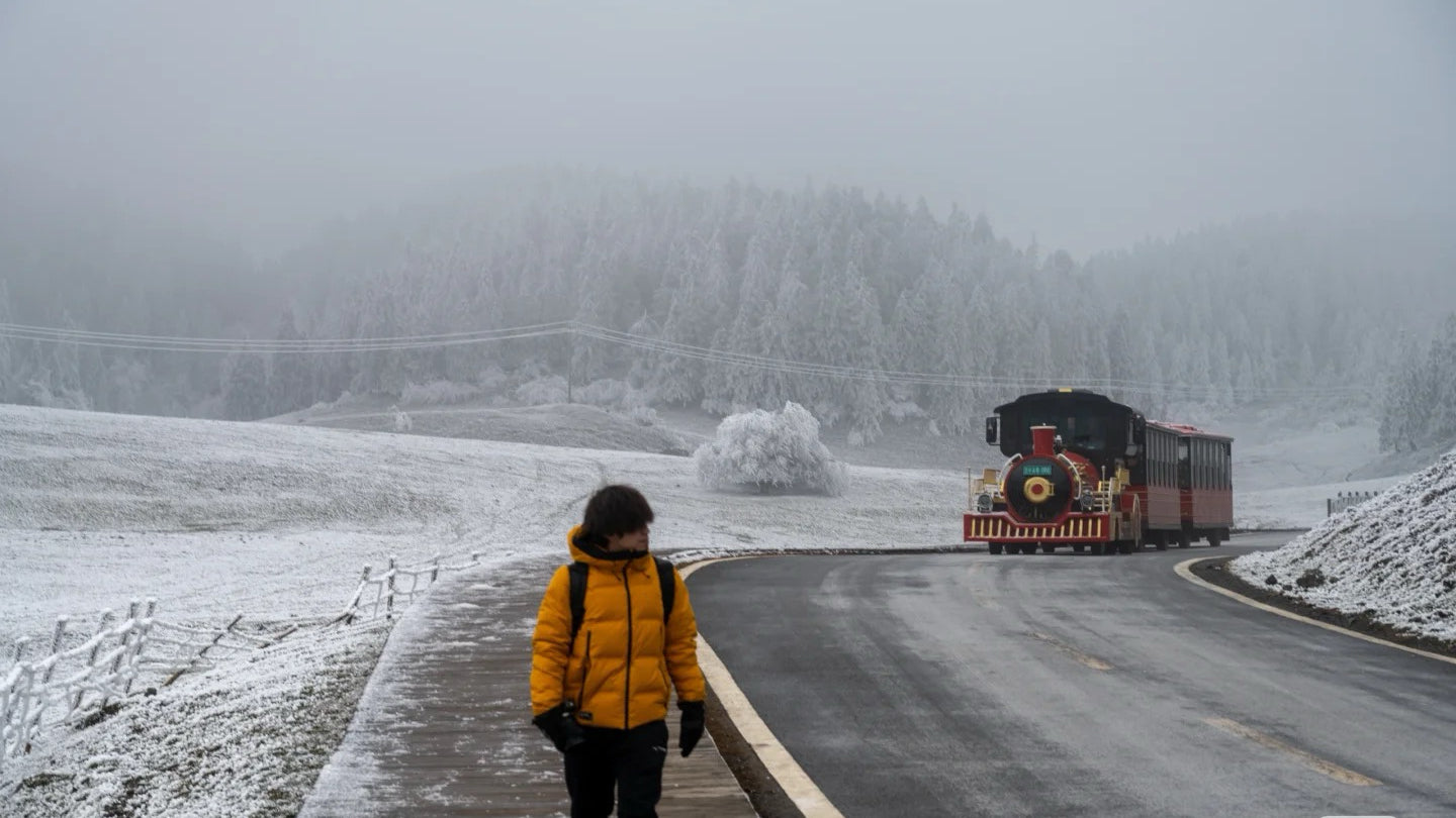 Flix and Ponyo Men's/Women's Waterproof Hooded Duck Down Puffer Jacket for Winter Outdoor Sports Unisex