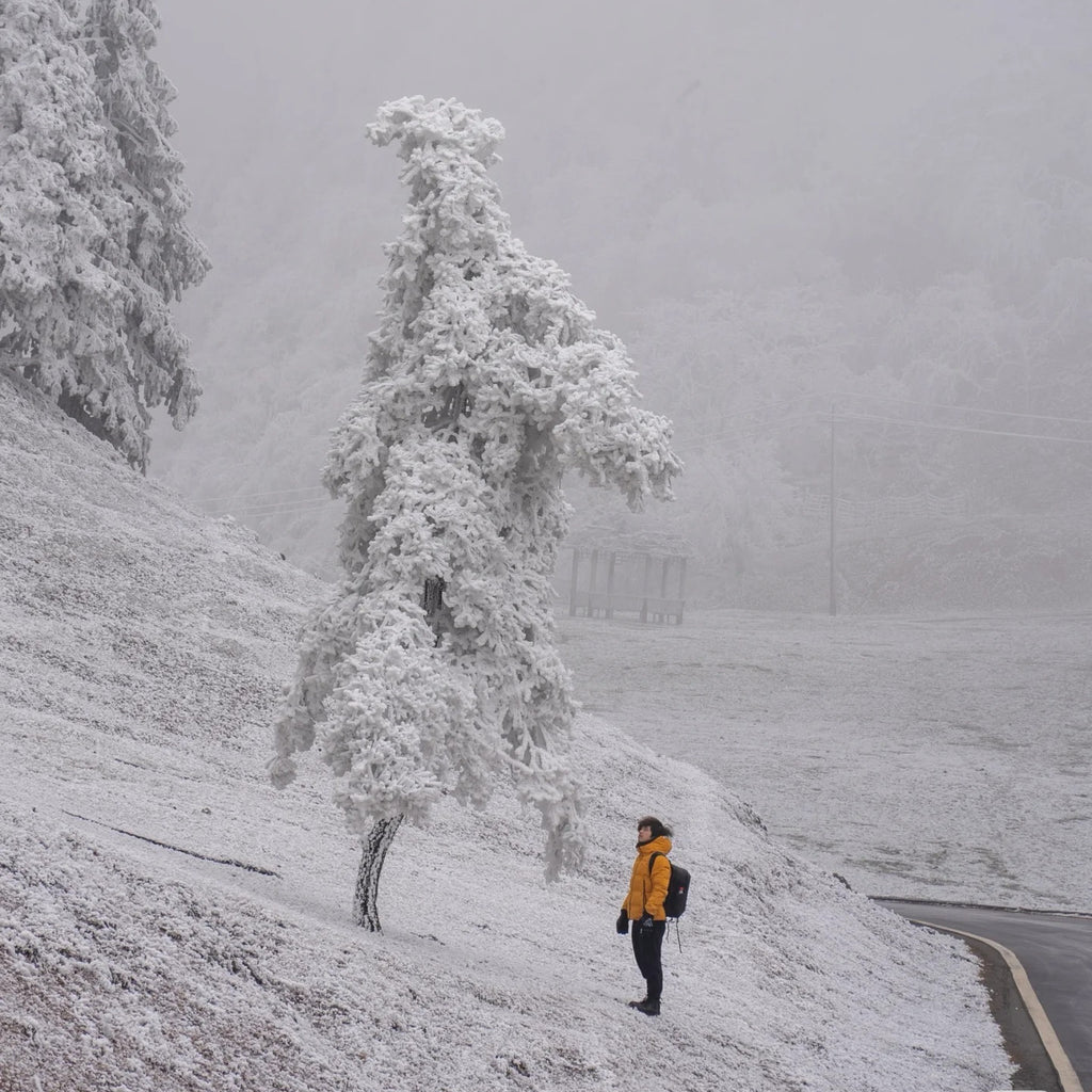 Flix and Ponyo Men's/Women's Waterproof Hooded Duck Down Puffer Jacket for Winter Outdoor Sports Unisex