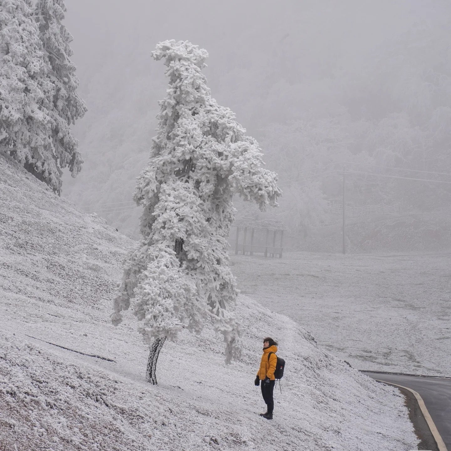 Flix and Ponyo Men's/Women's Waterproof Hooded Duck Down Puffer Jacket for Winter Outdoor Sports Unisex