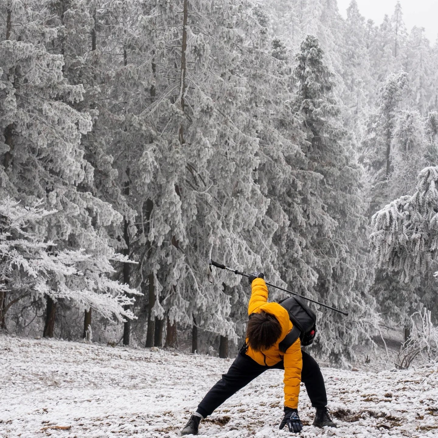 Flix and Ponyo Men's/Women's Waterproof Hooded Duck Down Puffer Jacket for Winter Outdoor Sports Unisex