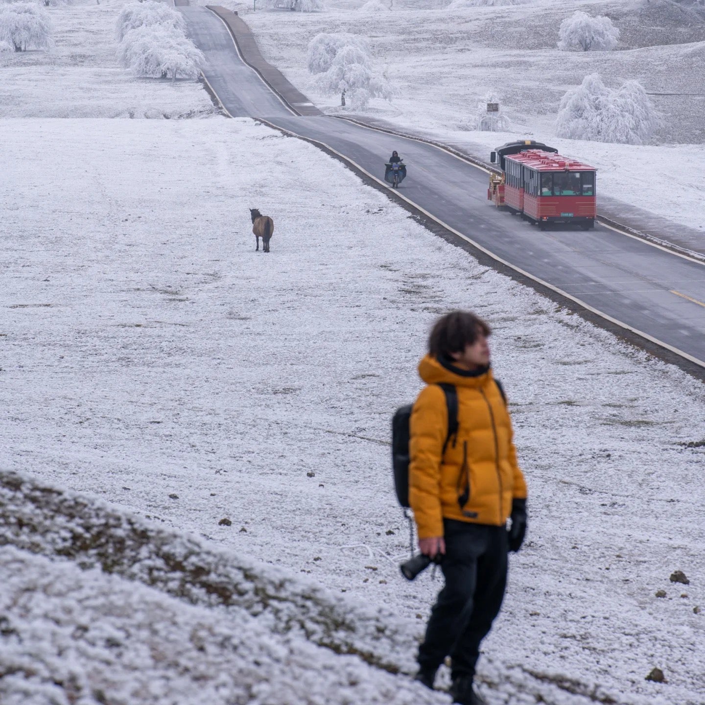 Flix and Ponyo Men's/Women's Waterproof Hooded Duck Down Puffer Jacket for Winter Outdoor Sports Unisex