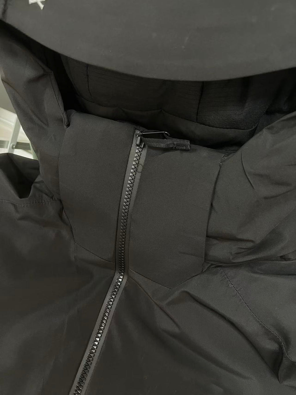 Unisex GORE-TEX Ski Down Jacket 750-Fill European Goose Down Waterproof Windproof Hooded Parka with Detachable Powder Skirt