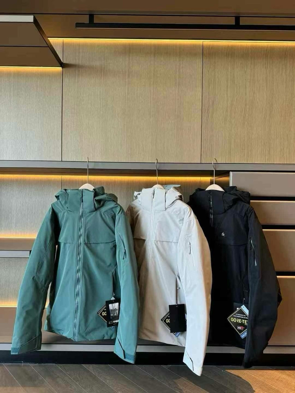 Unisex GORE-TEX Ski Down Jacket 750-Fill European Goose Down Waterproof Windproof Hooded Parka with Detachable Powder Skirt