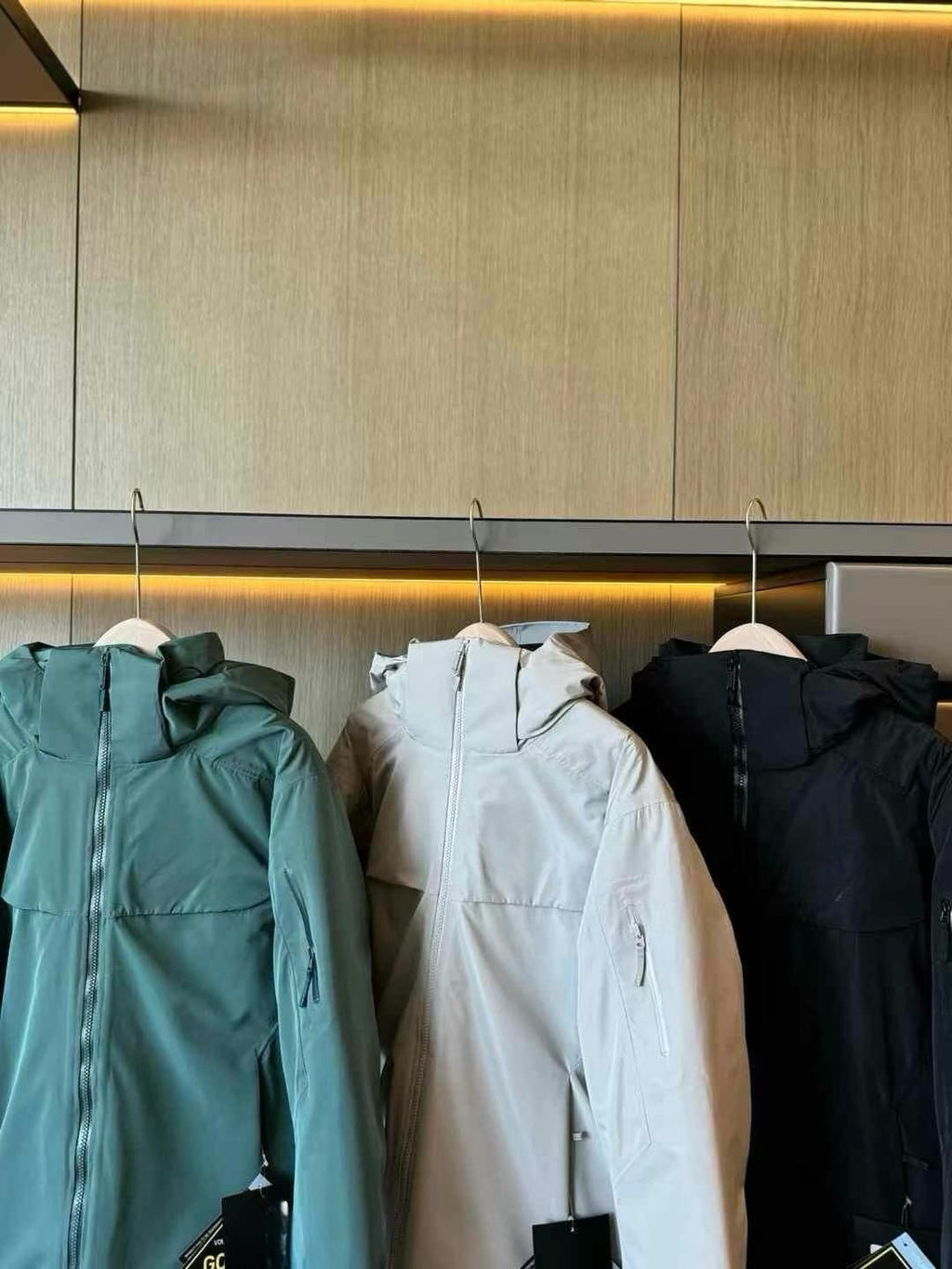 Unisex GORE-TEX Ski Down Jacket 750-Fill European Goose Down Waterproof Windproof Hooded Parka with Detachable Powder Skirt