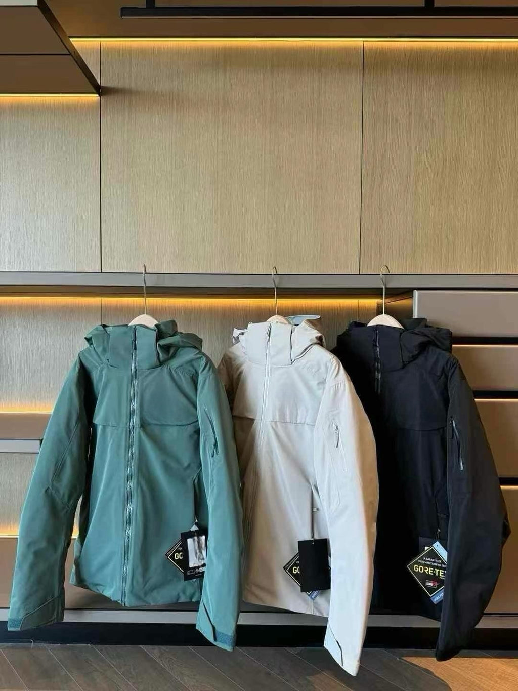 Unisex GORE-TEX Ski Down Jacket 750-Fill European Goose Down Waterproof Windproof Hooded Parka with Detachable Powder Skirt