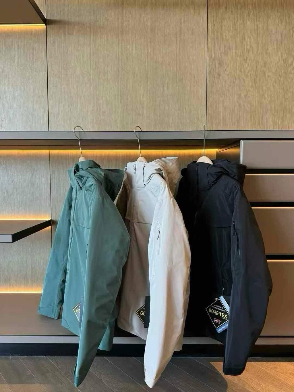 Unisex GORE-TEX Ski Down Jacket 750-Fill European Goose Down Waterproof Windproof Hooded Parka with Detachable Powder Skirt