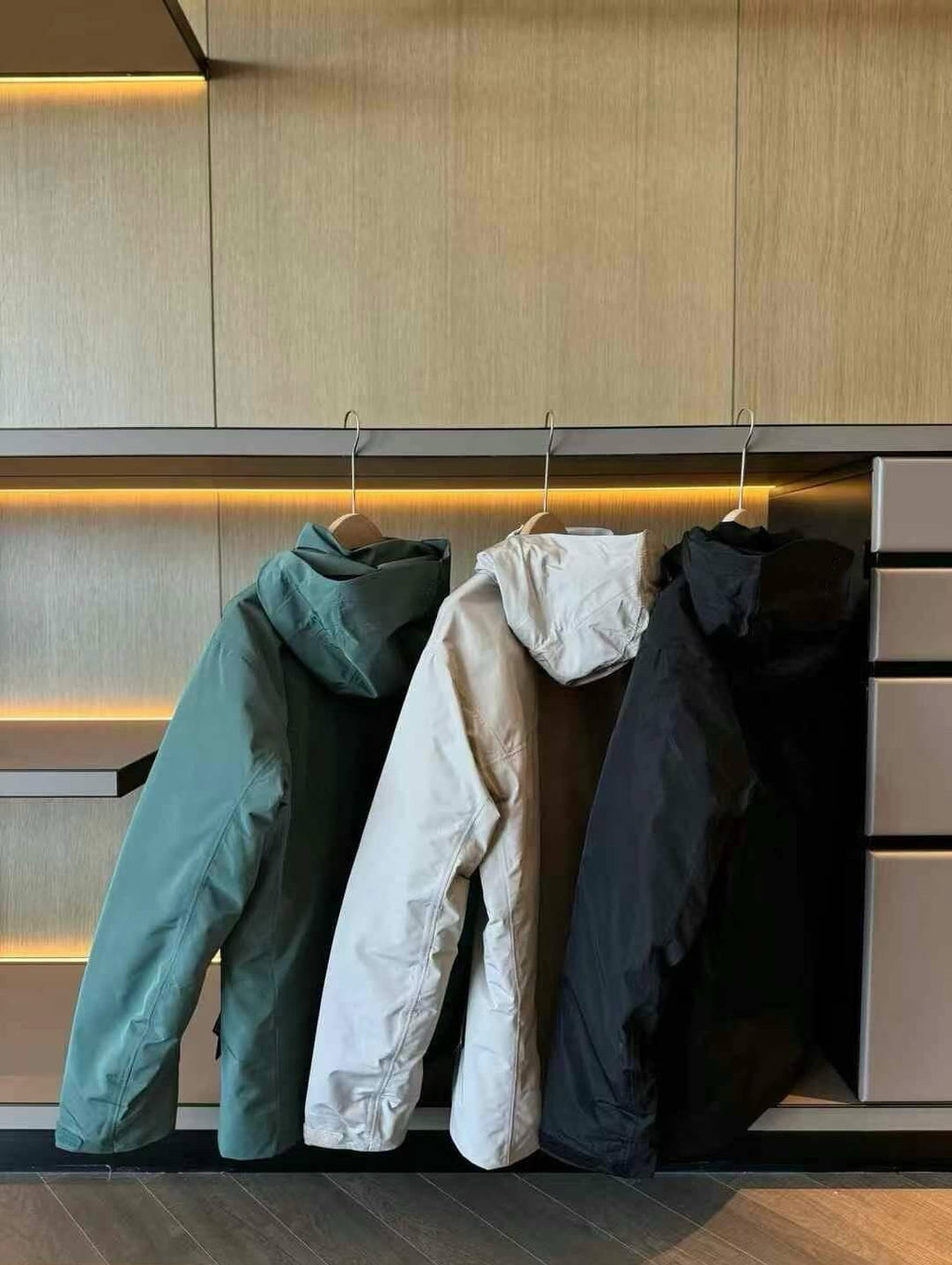 Unisex GORE-TEX Ski Down Jacket 750-Fill European Goose Down Waterproof Windproof Hooded Parka with Detachable Powder Skirt