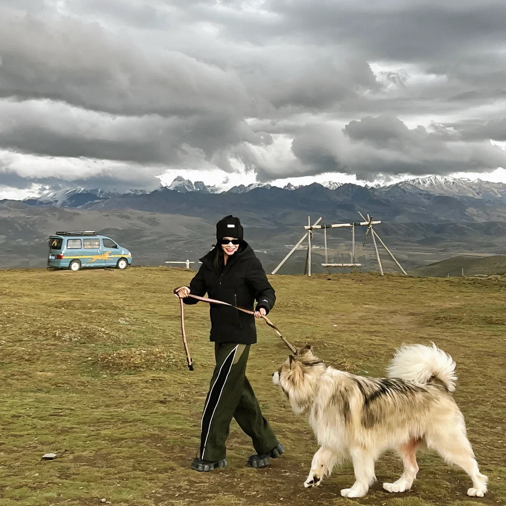 Flix and Ponyo Men's/Women's Waterproof Hooded Duck Down Puffer Jacket for Winter Outdoor Sports Unisex